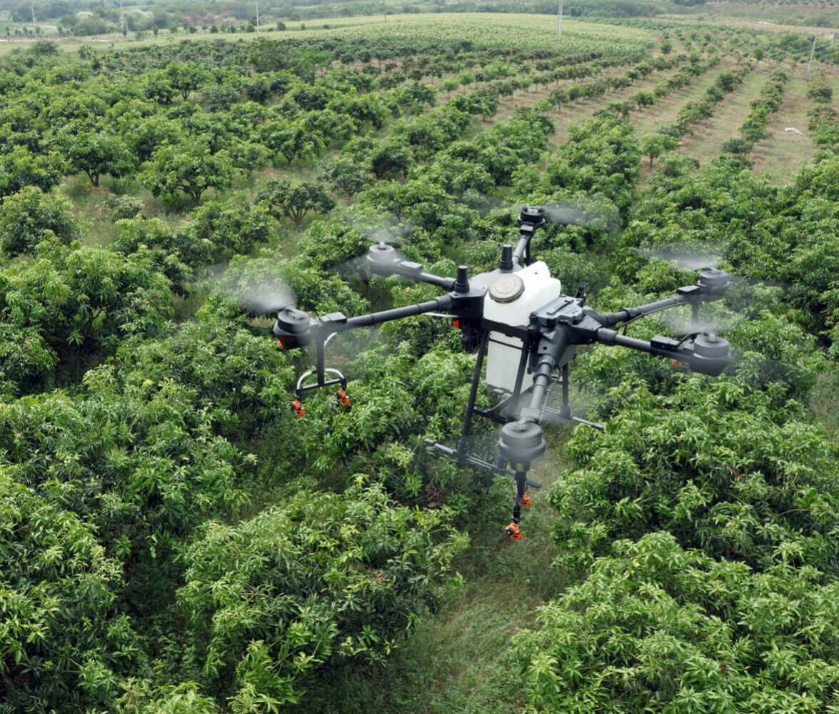 Curso Piloto Aplicador de Fitosanitarios con drones (virtual y presencial)