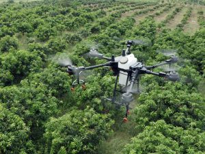 Curso Piloto Aplicador de Fitosanitarios con drones (virtual y presencial)