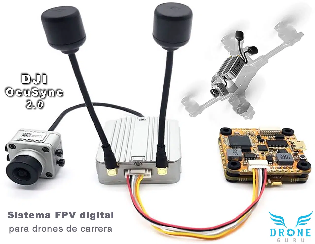 Drone GURU - Sistema FPV DJI