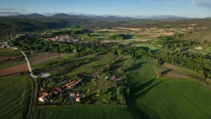 Atardecer sobre Sabiñares del Arlanza